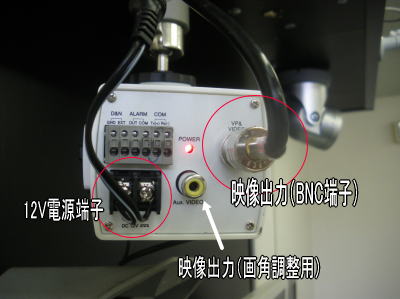 アナログカメラの背面